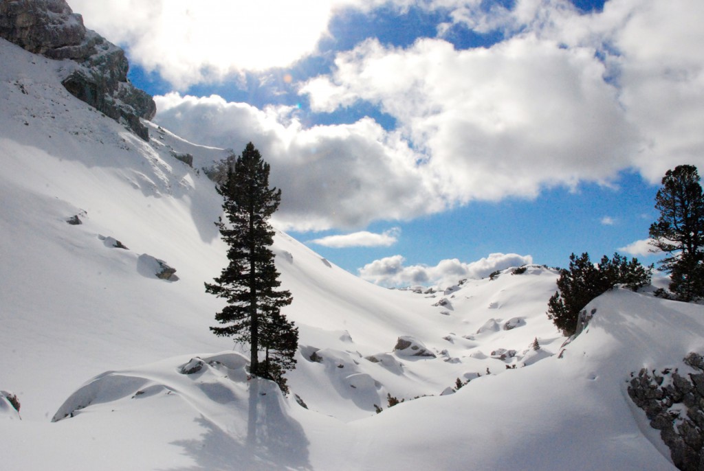 schneeschuhwandern am Rofan
