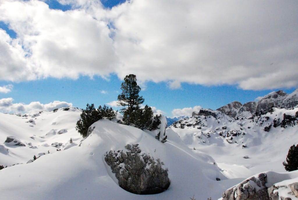 schneeschuhwandern im Rofan