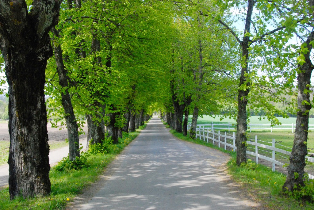 Südnorwegen Rundreise