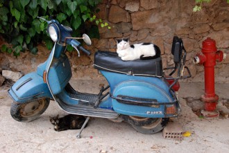 das beste hotel in chania entdeckt und Katzen gefunden