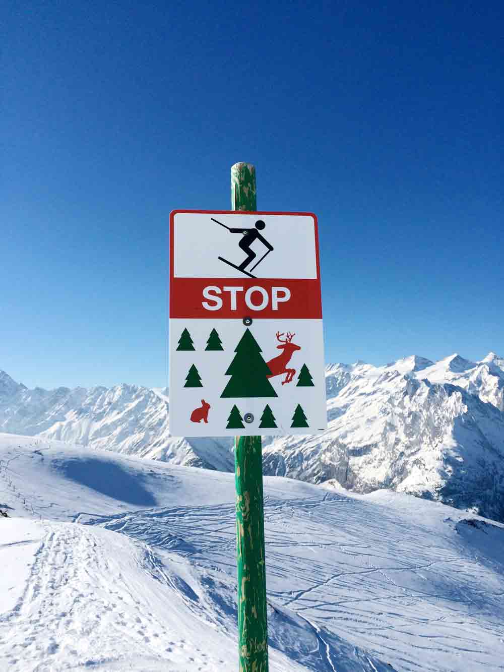 Skiurlaub im Haslital