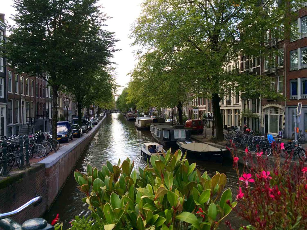 Looping-in-Amsterdam-Foodtour-Blumen-und-gracht