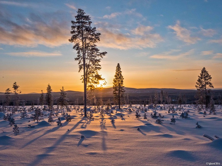 Looping-im-IGLOOTEL_Lappland-Landschaft