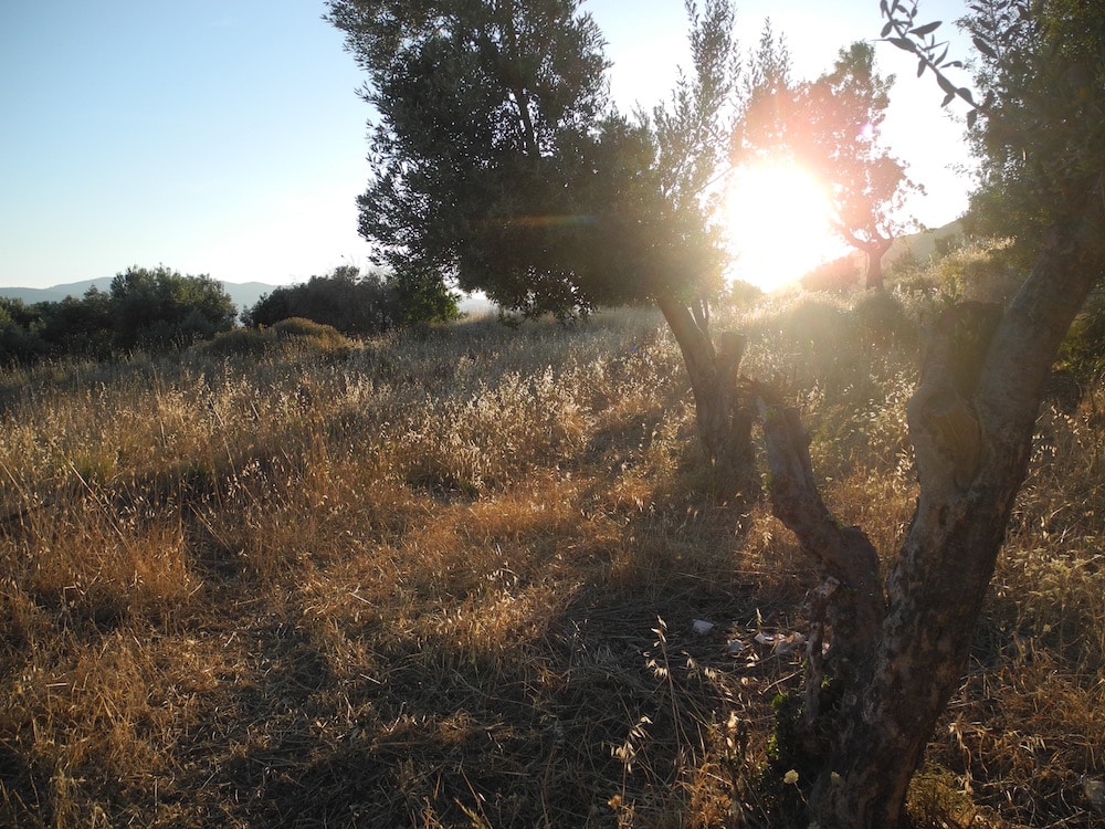 Landschaft-griechische-insel-Samos-©looping
