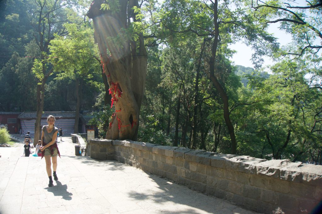 Tai Shan der heiligste Berg Chinas ©looping-magazin