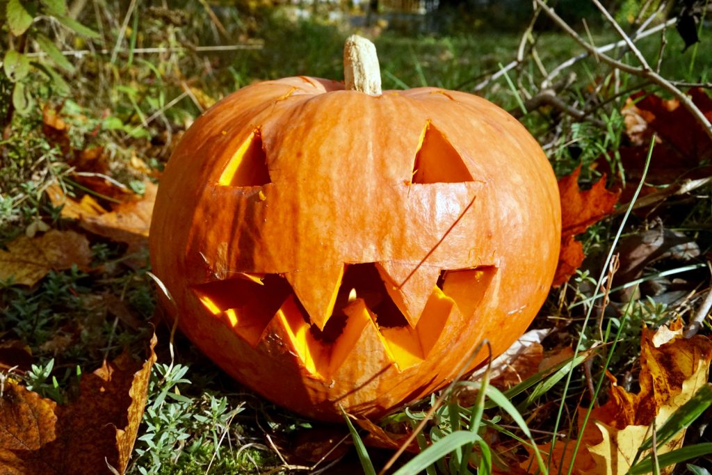 perfekter kuerbis halloween basteln