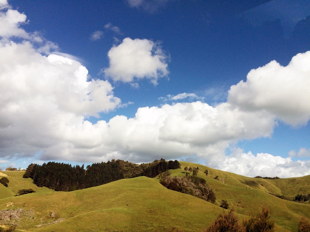 landschaft-neuseeland-looping-magazin