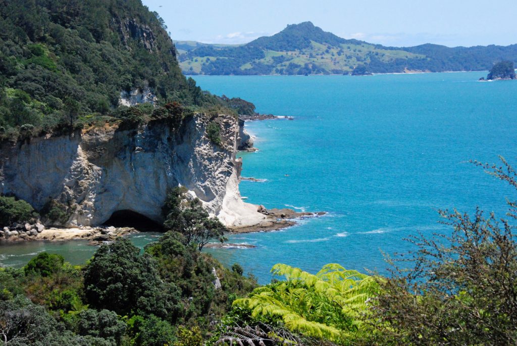 Familienreise Neuseeland. Unterwegs auf der Nordinsel