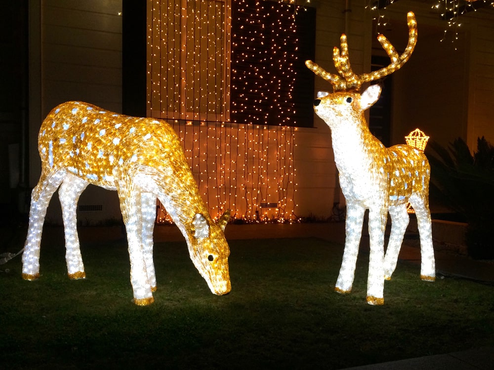 Weihnachten in Neuseeland rentiere-weihnachten-in-auckland-loopingmagazin