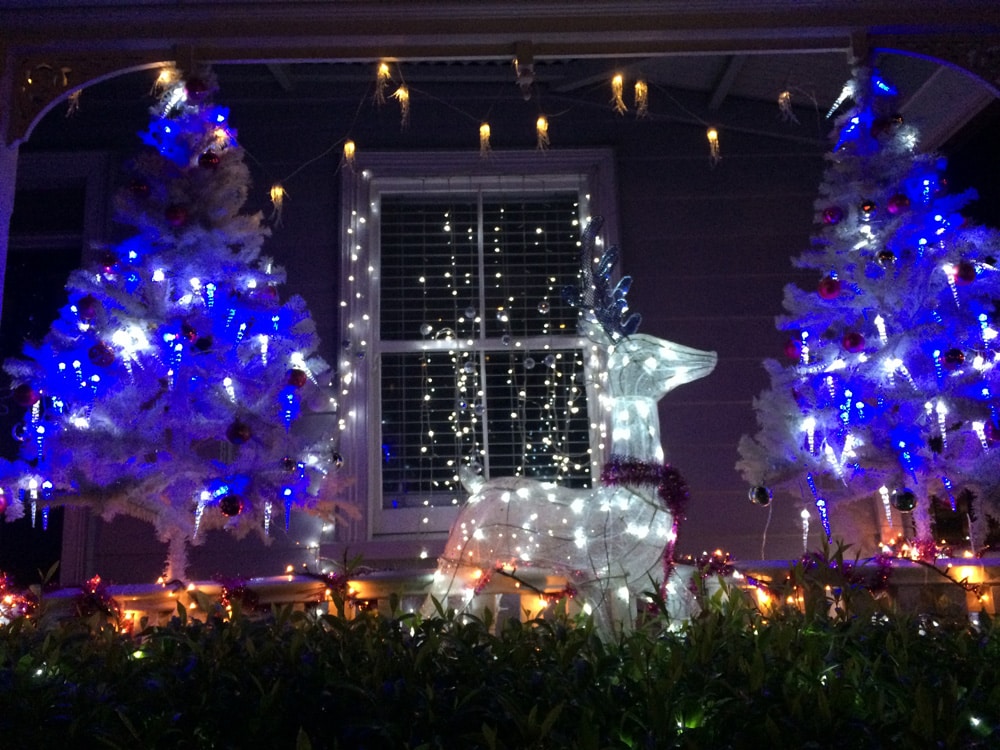 Weihnachten in Neuseeland weihnachten-in-auckland-loopingmagazin