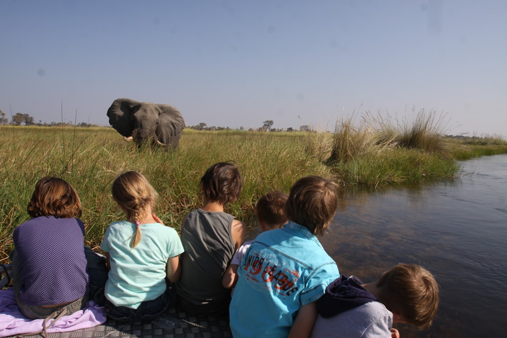 botswana-familienreise-tierbeobachtung-for-family-reisen