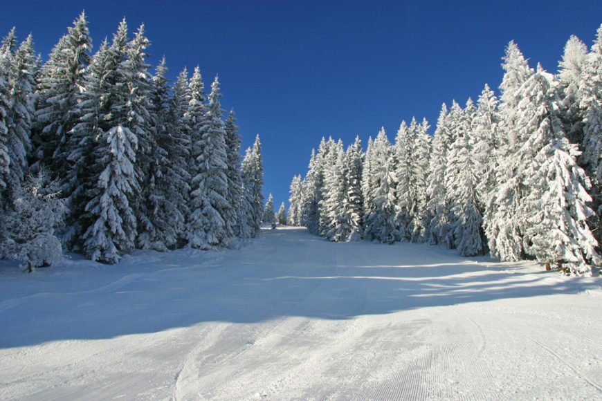 Familienhotel Kaiser in Tirol