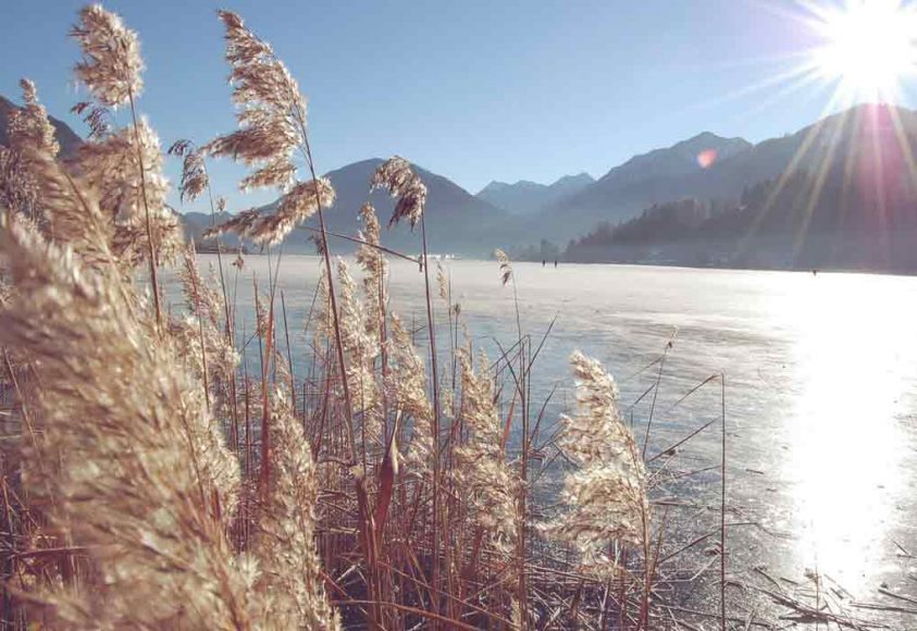 gralhof-am-weissensee-winter