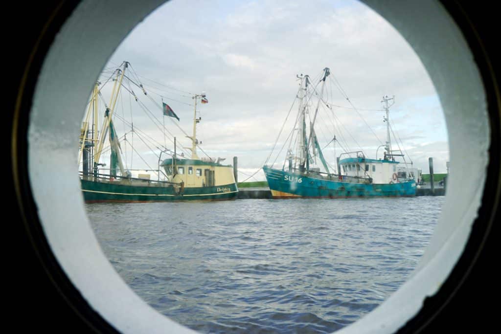 Bullauge auf der Fäher zur hallig Langeneß