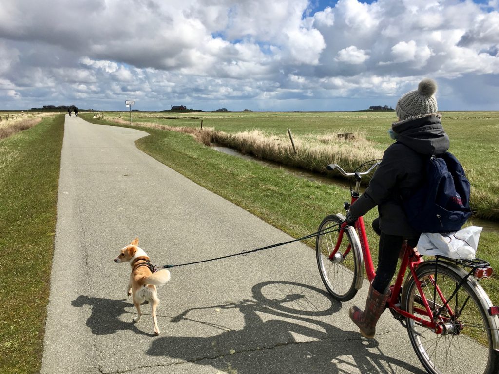 Mit Rad und Hund unterwegs auf Langeness