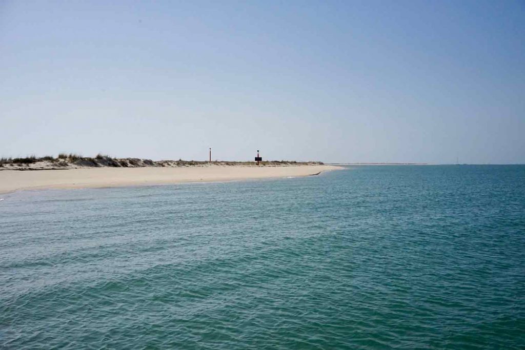 Ilha da Culatra die Insel, die keiner kennt