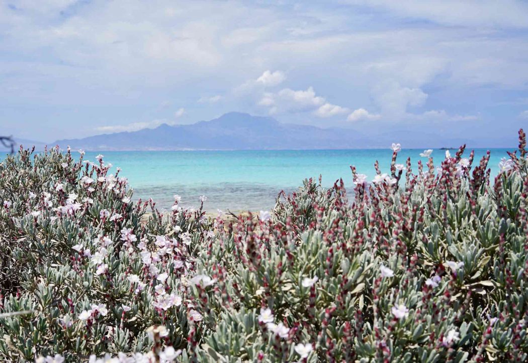 Chrissi Island, die unbewohnte Insel südlich von Kreta