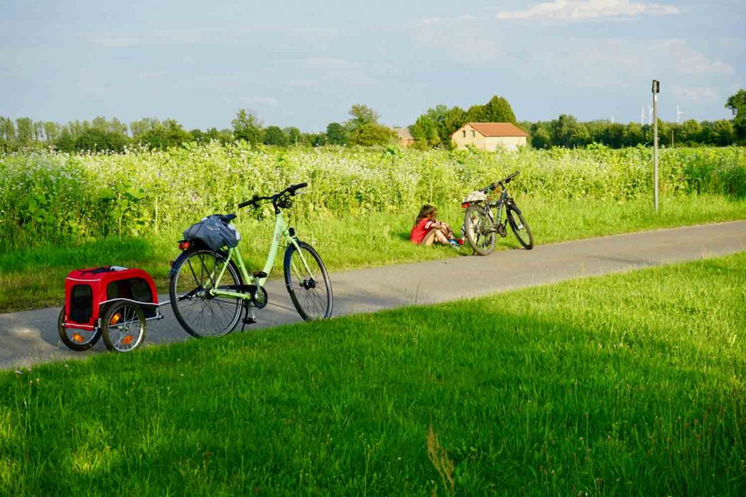 Fahrradtour durch das Lausitzer Seenland