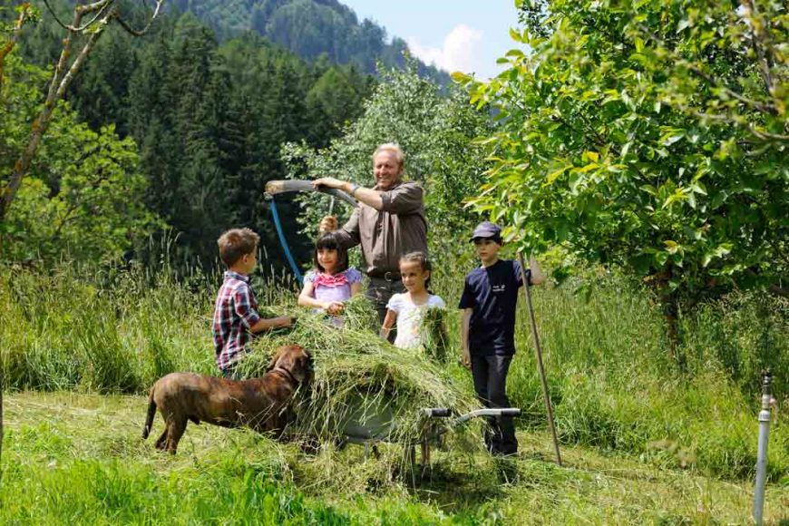 Landgut Moserhof in Kärnten