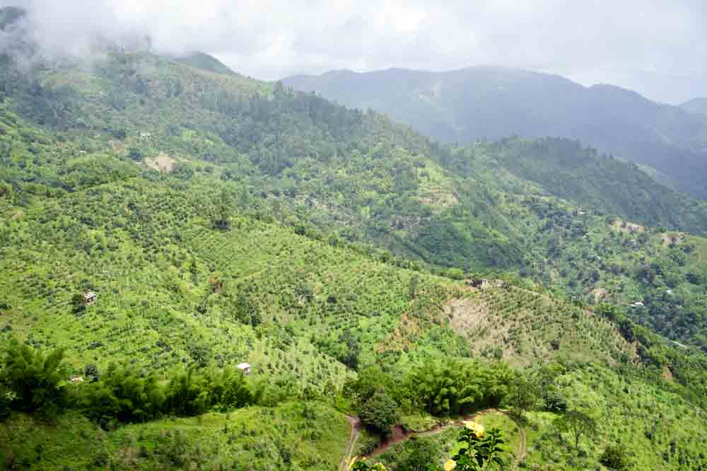 Ausblick auf die Blue Mountains Jamaika