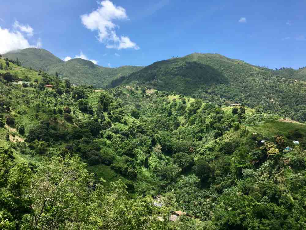 Ausflug in die Blue Mountains Jamaika