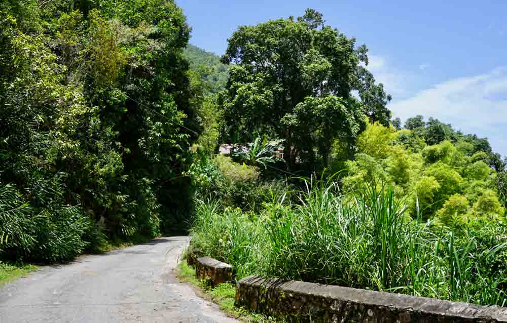 Kurvige Straßen in den Blue Mountains Jamaika