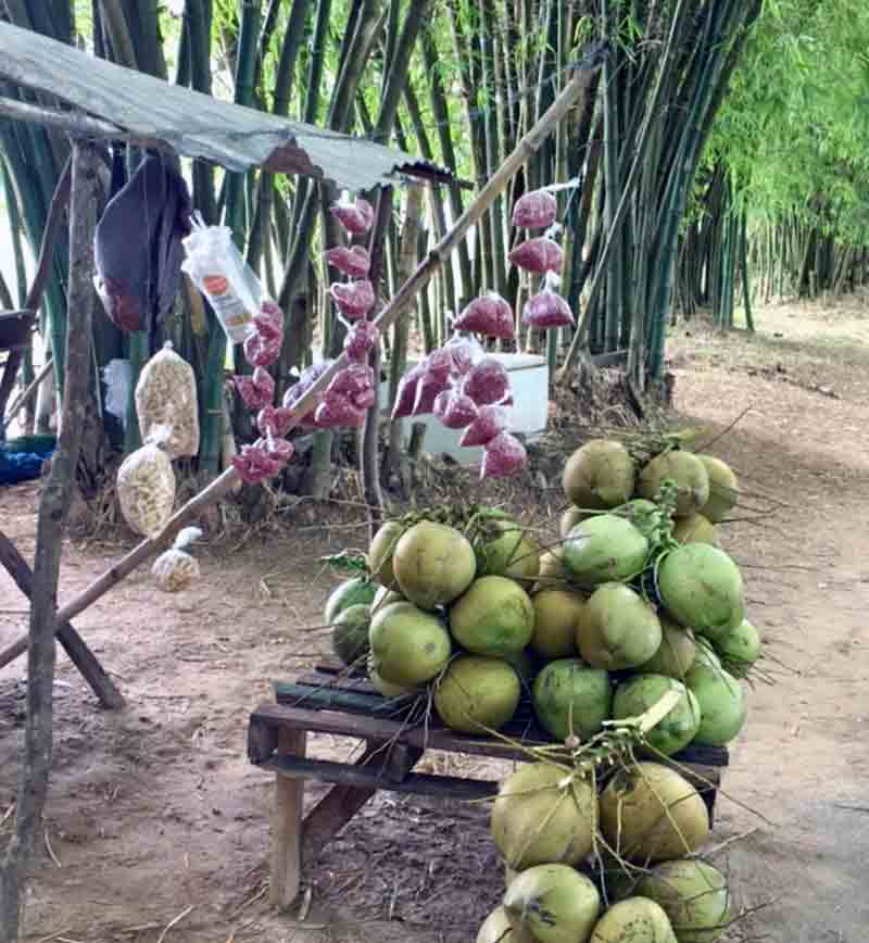 Strassenstand mit frischen Kokosnuessen auf Jamaika