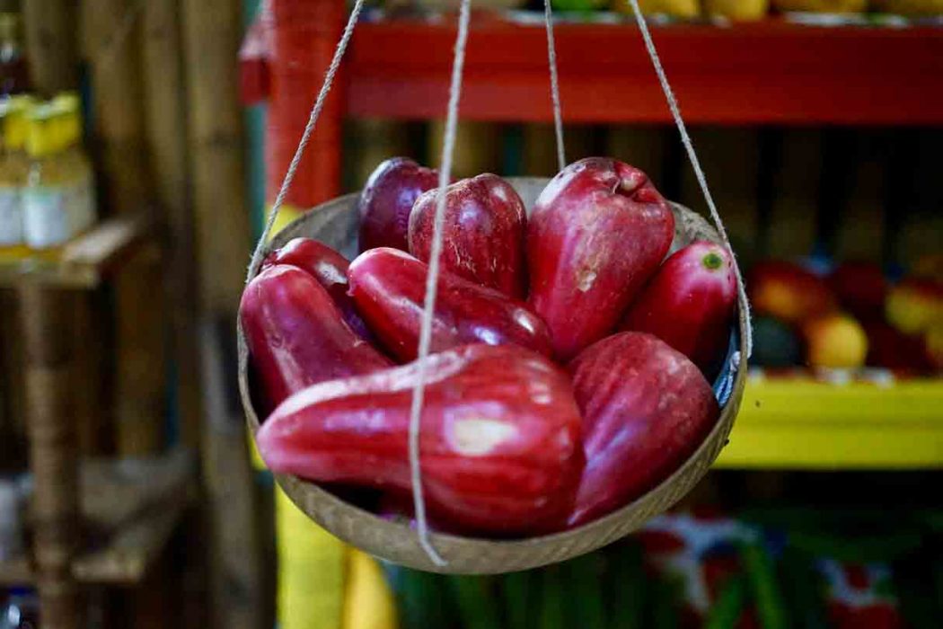 Jamaikanischer Apfel bei Fancy Fruits auf jamaika