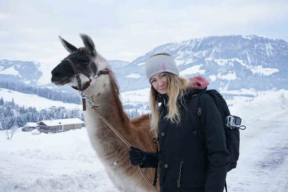 Wandern mit Lamas in Tirol