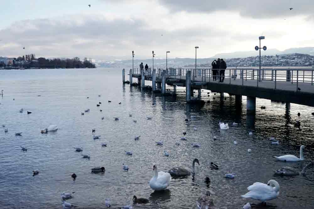 Zürich See Winter