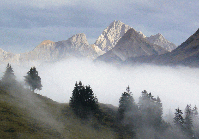 Klub-Frischluft-Baeren-Bregenzerwald-1