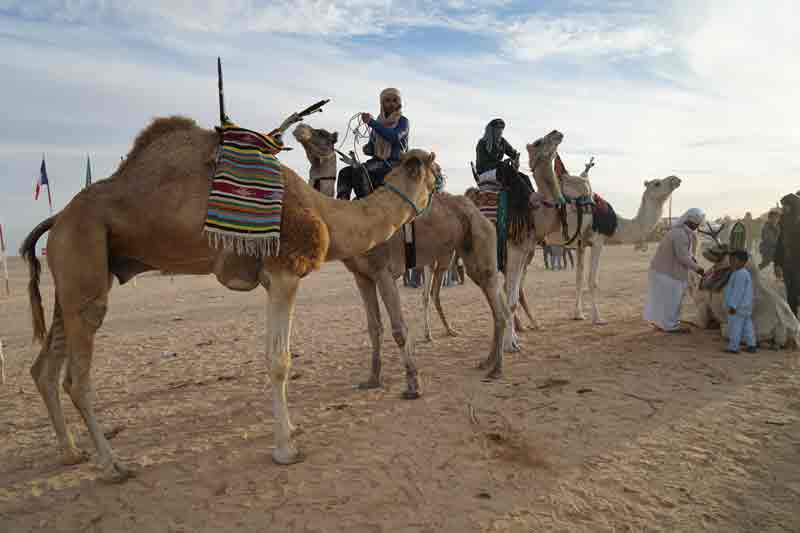 Sahara Festival Douz Nomaden auf Kamelen
