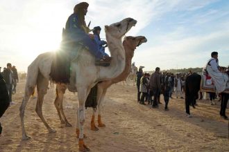 Sahara Festival in Douz
