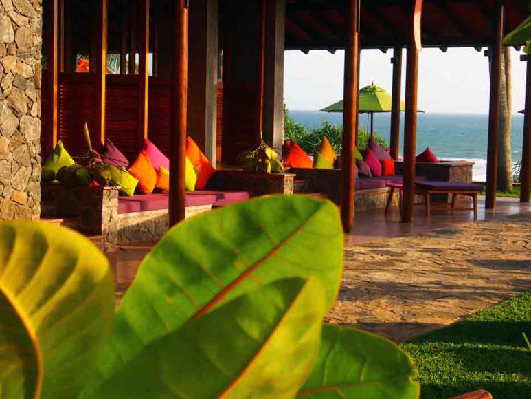 Terrasse Underneath The Mango Tree