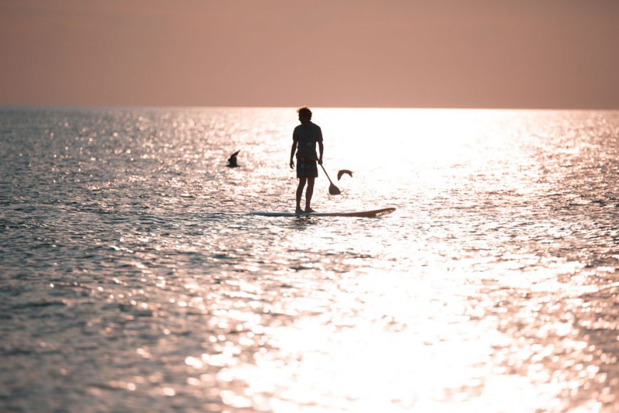 Stand-up-paddeling-Ostsee-Darss