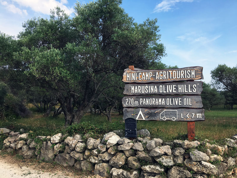 Roadtrip Kroatien Mini Camp Marusina Olive Hills