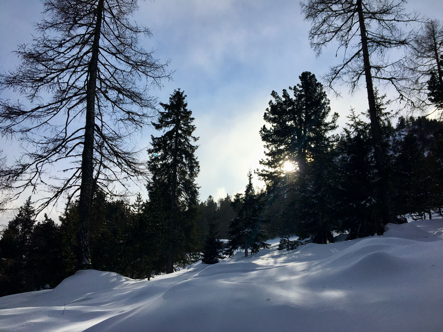 Schneeschuhwandern im Pustertal