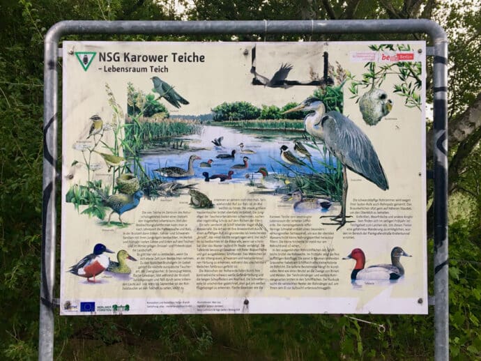 Radtour in Berlin. 2 Fahrradtouren immer am Wasser entlang.