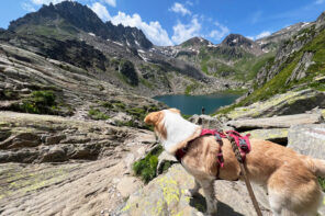 Wandern in der Schweiz. Mit dem Hund zum Tomasee