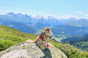 Schweiz mit Hund – Rundwanderung Lag Serein Caischavedra