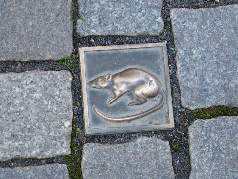 Pflasterstein Ratte Hameln Weserbergland