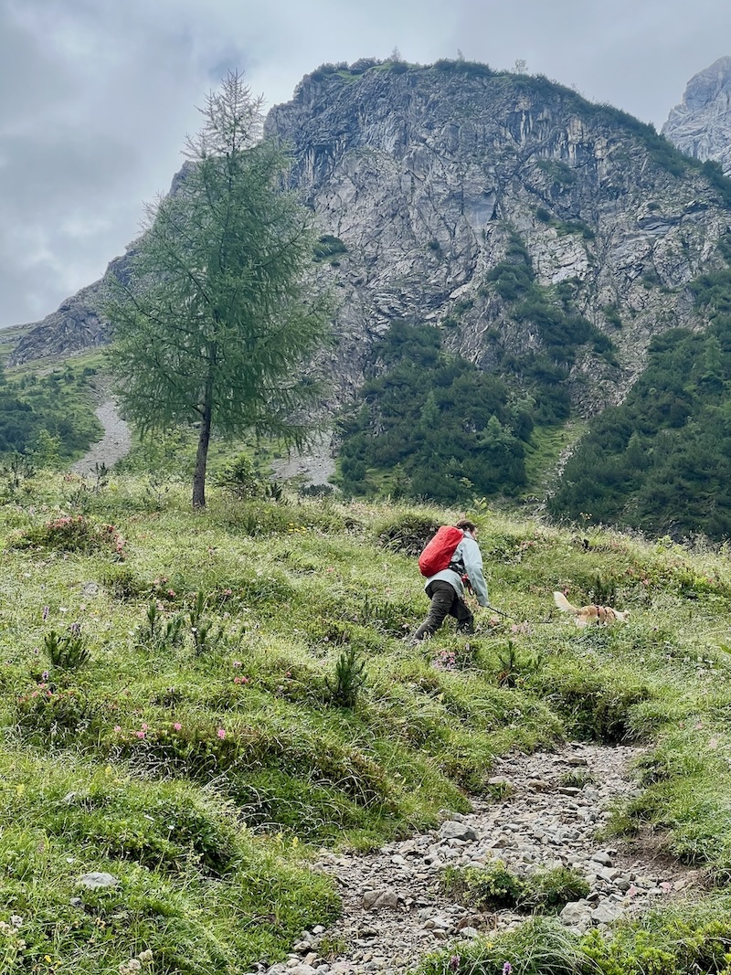Hüttenwanderung mit Hund
