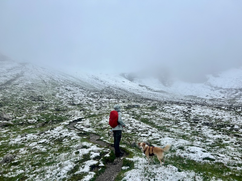 Hüttenwanderung mit Hund