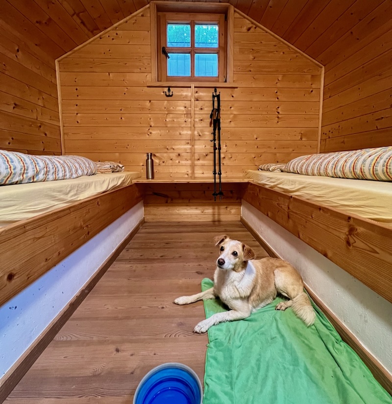 Hüttenwanderung mit Hund