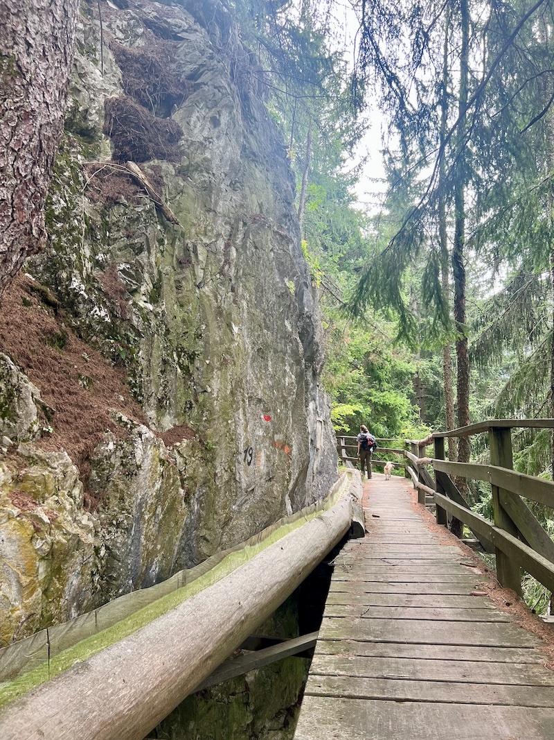 Waalweg Weitwanderung mit Hund auf dem Vinschger Höhenweg