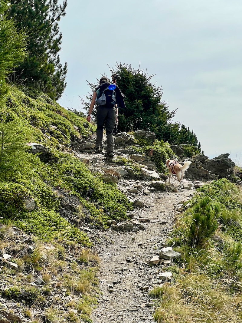 Weitwanderung mit Hund auf dem Vinschger Höhenweg