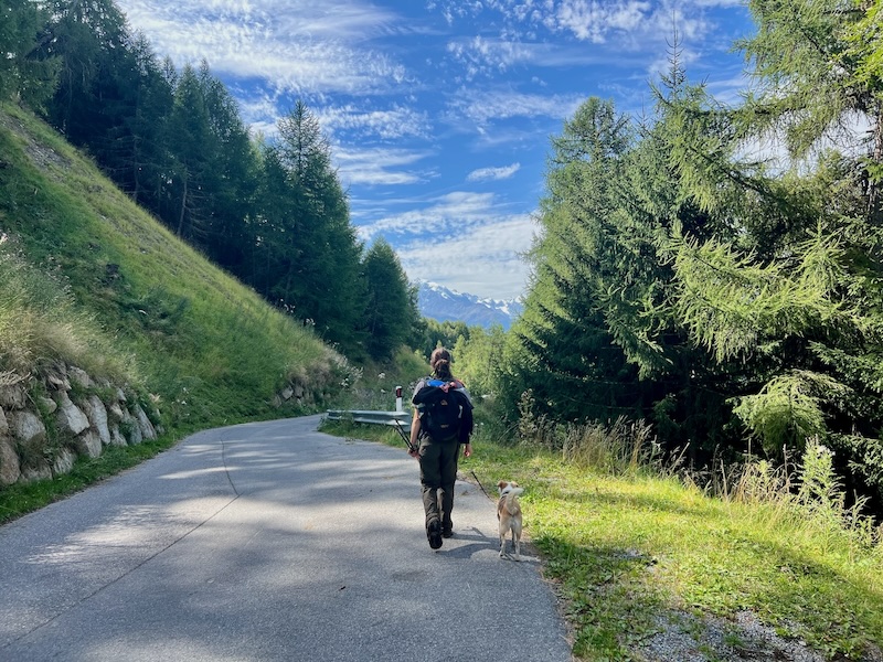 Weitwanderung mit Hund auf dem Vinschger Höhenweg