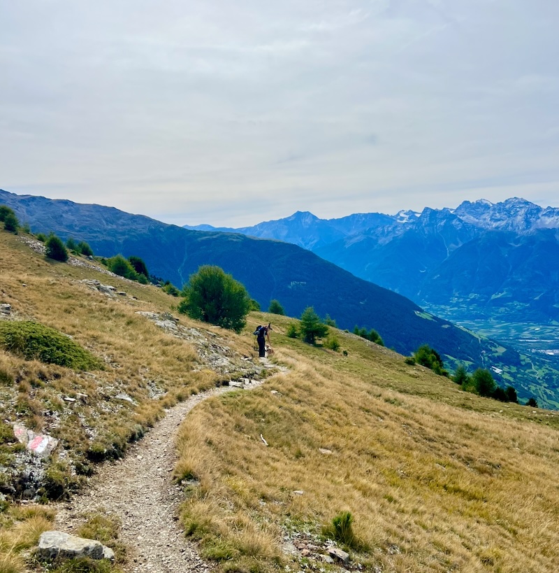 Weitwanderung mit Hund auf dem Vinschger Höhenweg