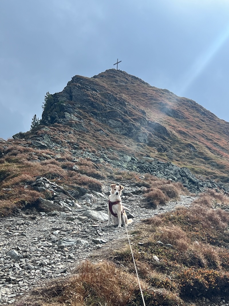 standkopf gipfelkreuz Alpbachtal