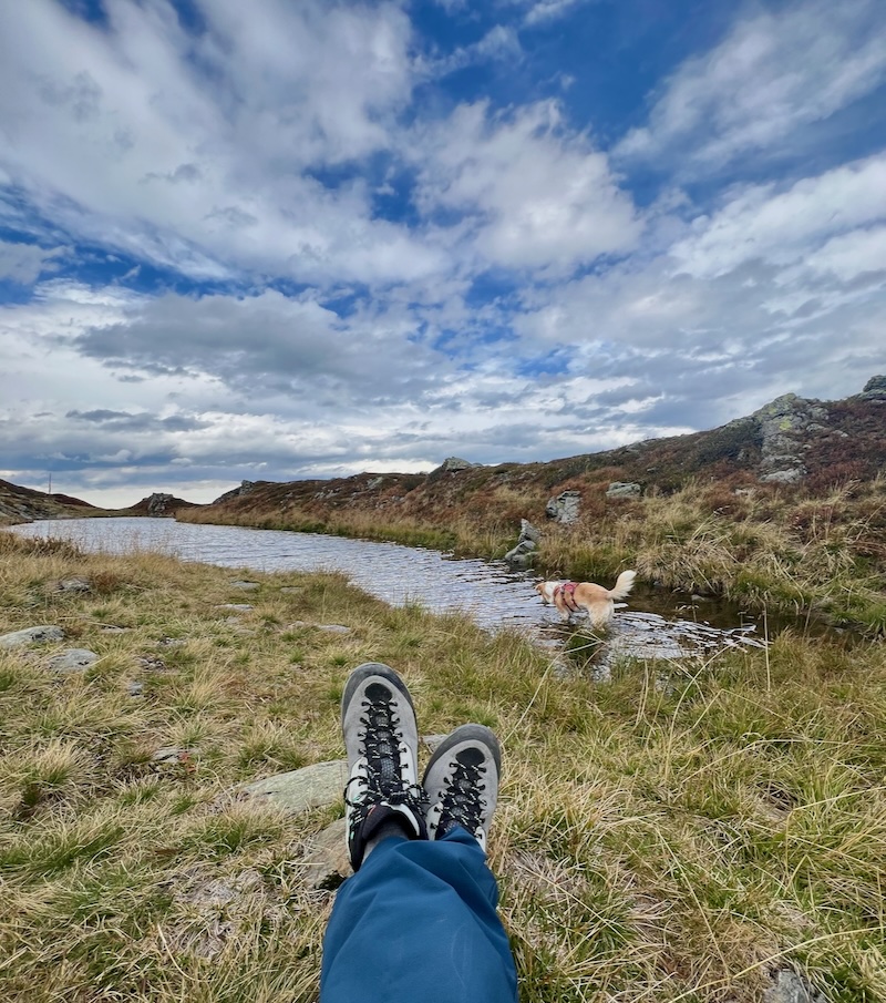 kurze pause wandern mit hund standkop Alpbachtal